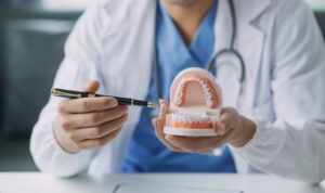 A dentist in a white coat holds a dental model and points at the teeth with a pen, demonstrating dental anatomy or explaining oral health, with a stethoscope around their neck.
