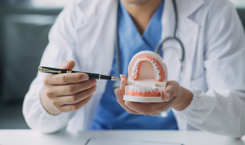 A dentist in a white coat holds a dental model and points at the teeth with a pen, demonstrating dental anatomy or explaining oral health, with a stethoscope around their neck.