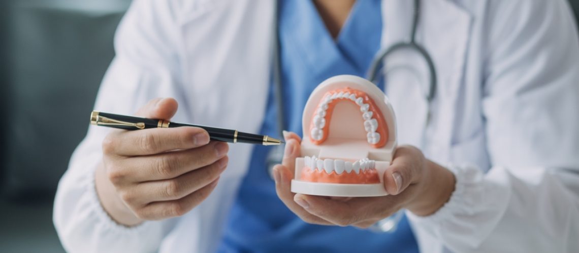 A dentist in a white coat holds a dental model and points at the teeth with a pen, demonstrating dental anatomy or explaining oral health, with a stethoscope around their neck.